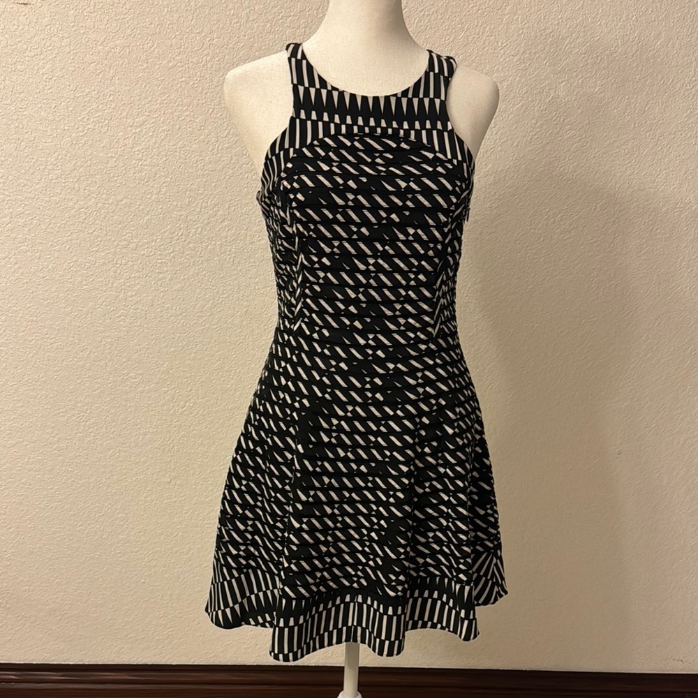Parker Black and White Fit and Flare Mini Dress